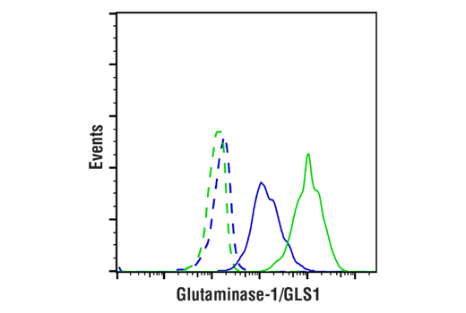 Flow Cytometry Image 1: Glutaminase-1/GLS1 (E4T9Q) Rabbit mAb