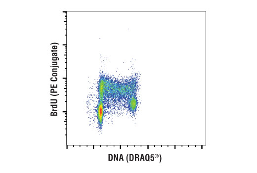 Flow Cytometry Image 1: BrdU (Bu20a) Mouse mAb (PE Conjugate)