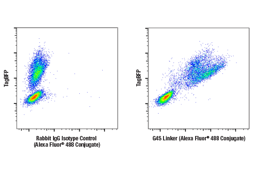 Flow Cytometry Image 2: G4S Linker (E7O2V) Rabbit mAb (Alexa Fluor® 488 Conjugate)