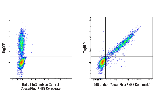 Flow Cytometry Image 1: G4S Linker (E7O2V) Rabbit mAb (Alexa Fluor® 488 Conjugate)