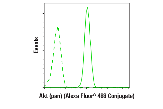 Flow Cytometry Image 1: Akt (pan) (C67E7) Rabbit mAb (Alexa Fluor® 488 Conjugate)
