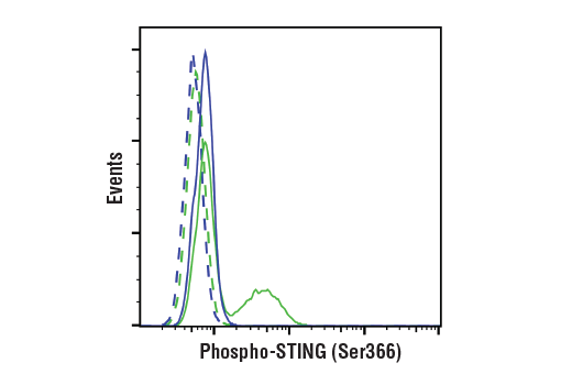 Flow Cytometry Image 1: Phospho-STING (Ser366) (E9A9K) Rabbit mAb (BSA and Azide Free)