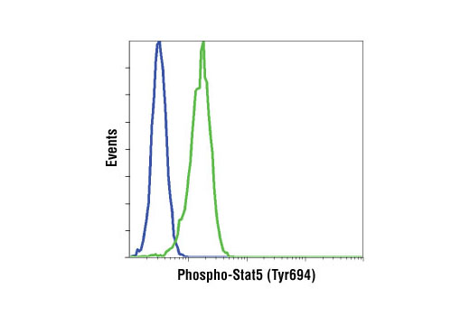 Flow Cytometry Image 1: Phospho-Stat5 (Tyr694) (C11C5) Rabbit mAb (BSA and Azide Free)