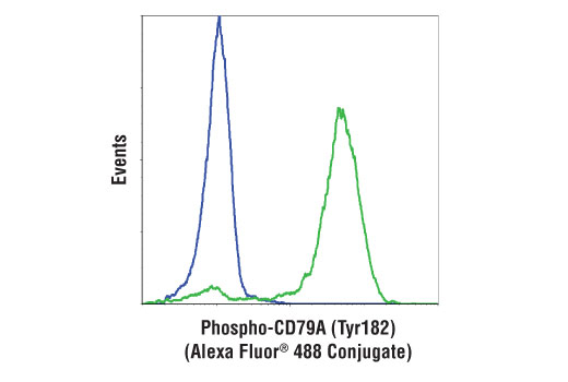 Flow Cytometry Image 1: Phospho-CD79A (Tyr182) (D1B9) Rabbit mAb (Alexa Fluor® 488 Conjugate)