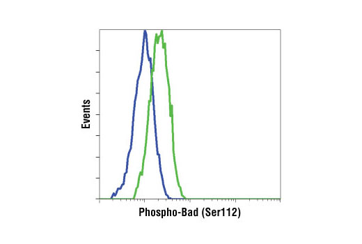 Flow Cytometry Image 1: Phospho-Bad (Ser112) (40A9) Rabbit mAb