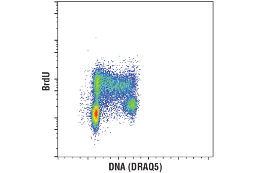 Flow Cytometry Image 1: BrdU (Bu20a) Mouse mAb