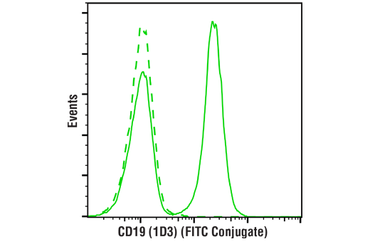Flow Cytometry Image 1: CD19 (1D3) Rat mAb (FITC Conjugate)