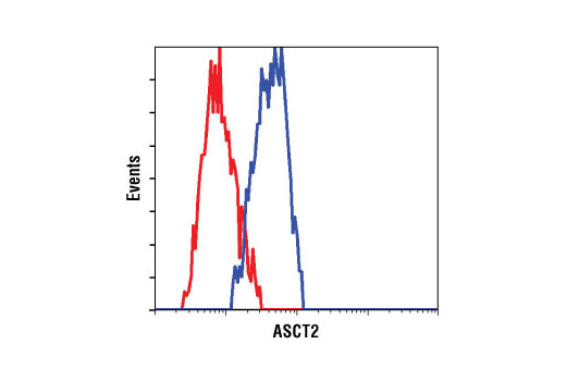 Flow Cytometry Image 1: ASCT2 (V501) Antibody