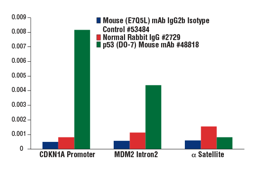 Chromatin Immunoprecipitation Image 1: Mouse (E7Q5L) mAb IgG2b Isotype Control