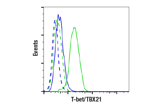 Flow Cytometry Image 1: T-bet/TBX21 (E4I2K) Rabbit mAb (BSA and Azide Free)