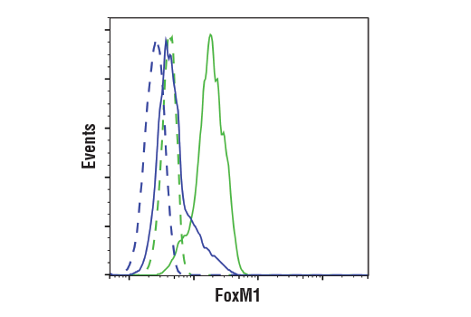 foxm1-d3f2b-rabbit-mab-flow-formulated-cell-signaling-technology