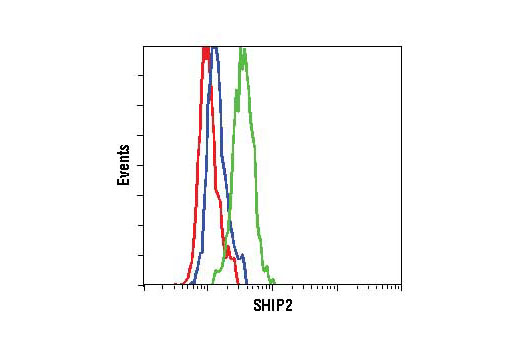 Flow Cytometry Image 1: Phospho-SHIP2 (Tyr1135) (D33C6) XP® Rabbit mAb
