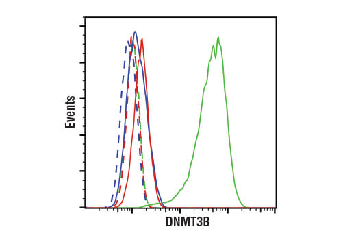  Image 21: DNA Methylation Antibody Sampler Kit