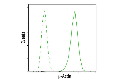Flow Cytometry Image 1: β-Actin (E4D9Z) Mouse mAb
