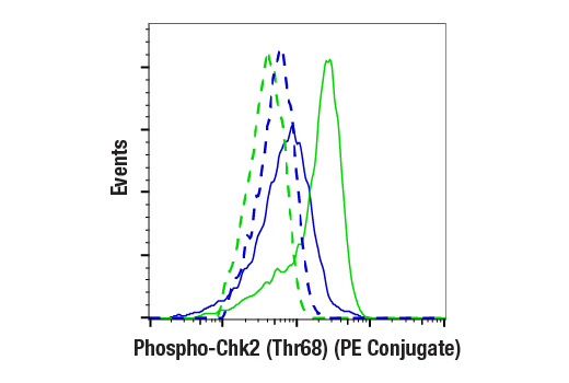 Flow Cytometry Image 1: Phospho-Chk2 (Thr68) (E8Q1A) Rabbit mAb (PE Conjugate)
