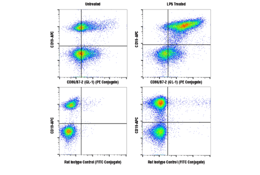 Flow Cytometry Image 2: CD86/B7-2 (GL-1) Rat mAb (PE Conjugate)