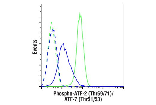 Flow Cytometry Image 1: Phospho-ATF-2 (Thr69/71)/ATF-7 (Thr51/53) (E6A8A) Rabbit mAb