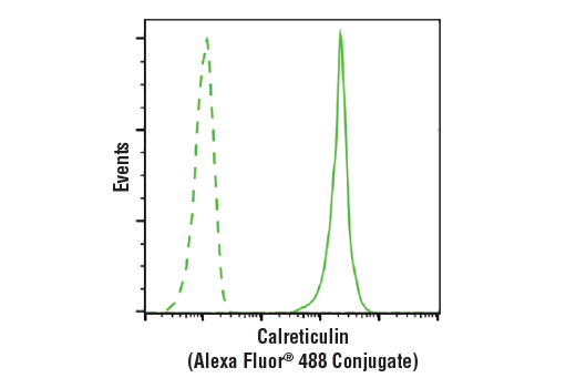 Flow Cytometry Image 1: Calreticulin (D3E6) XP® Rabbit mAb (Alexa Fluor® 488 Conjugate)