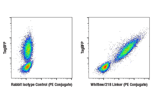 Flow Cytometry Image 3: Whitlow/218 Linker (E3U7Q) Rabbit mAb (PE Conjugate)