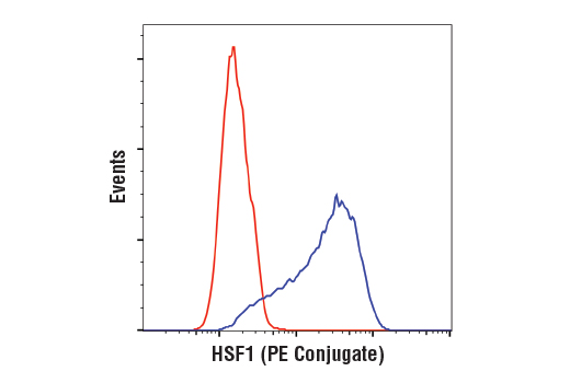 Flow Cytometry Image 1: HSF1 (D3L8I) Rabbit mAb (PE Conjugate)