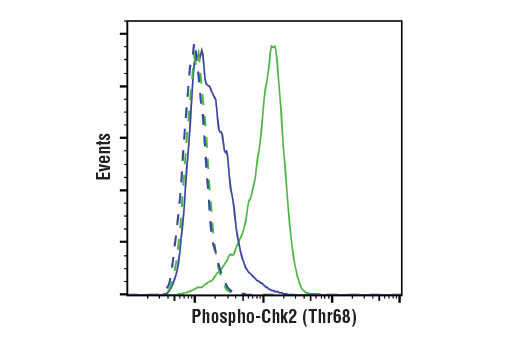 Flow Cytometry Image 1: Phospho-Chk2 (Thr68) (E8Q1A) Rabbit mAb (BSA and Azide Free)