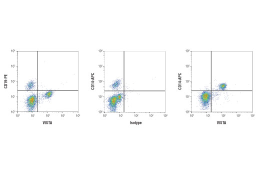  Image 73: Human T Cell Co-inhibitory and Co-stimulatory Receptor IHC Antibody Sampler Kit