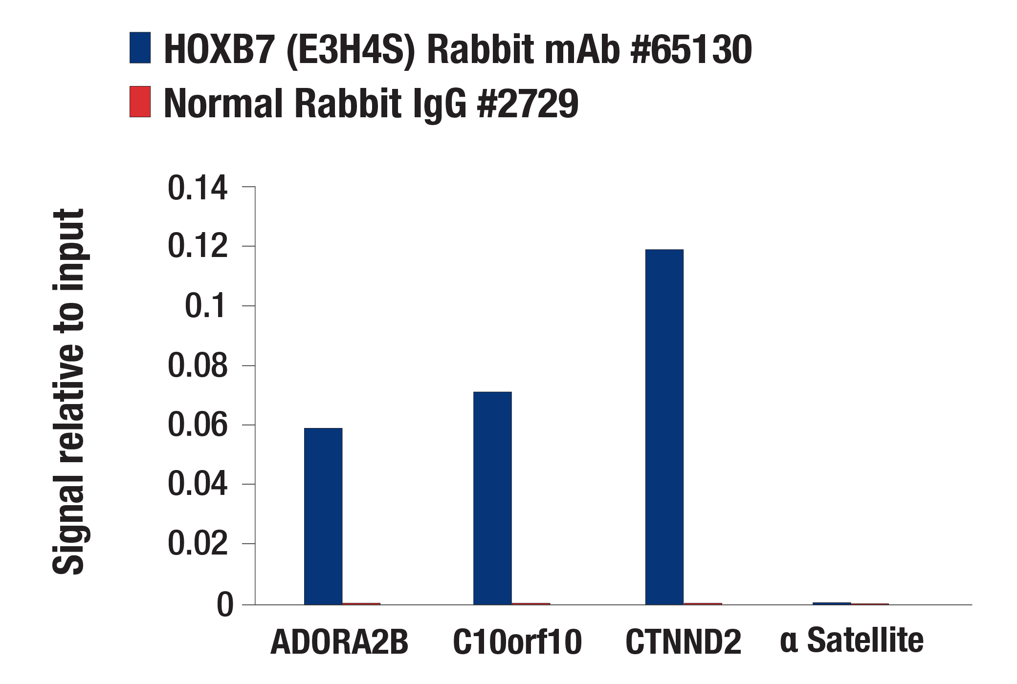 HOXB7 (E3H4S) Rabbit MAb | Cell Signaling Technology