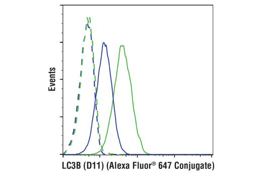 Flow Cytometry Image 1: LC3B (D11) XP® Rabbit mAb (Alexa Fluor® 647 Conjugate)
