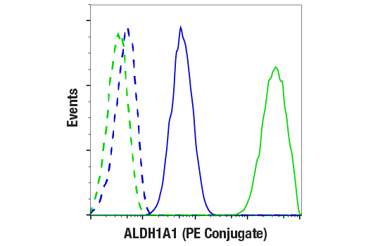 Flow Cytometry Image 1: ALDH1A1 (D9Q8E) XP® Rabbit mAb (PE Conjugate)