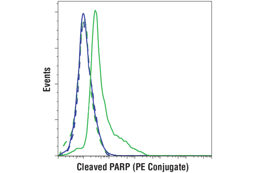Flow Cytometry Image 1: Cleaved PARP (Asp214) (D6X6X) Rabbit mAb (PE Conjugate)