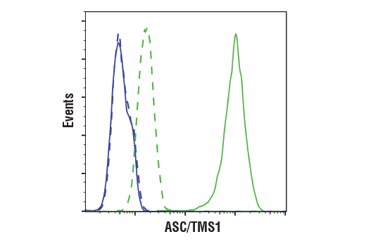  Image 64: Mouse Microglia Marker IF Antibody Sampler Kit