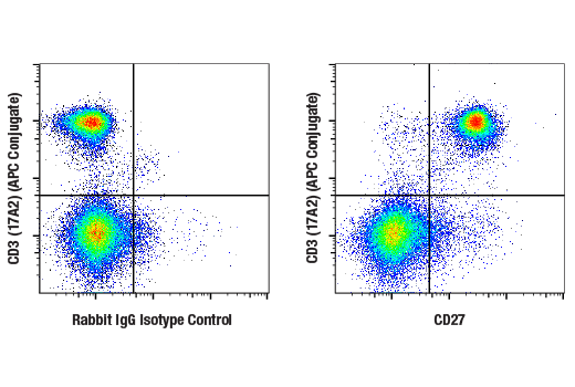Flow Cytometry Image 1: CD27 (E5E7H) Rabbit mAb
