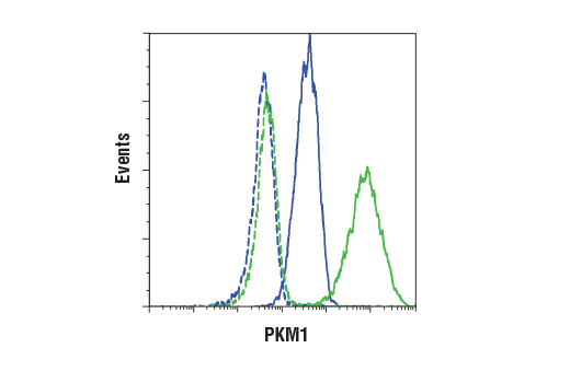Flow Cytometry Image 1: PKM1 (D30G6) XP® Rabbit mAb (BSA and Azide Free)