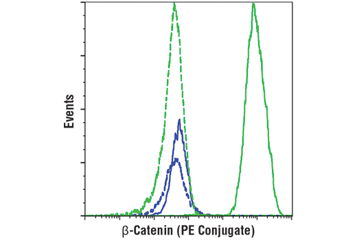 Flow Cytometry Image 1: β-Catenin (L54E2) Mouse mAb (PE Conjugate)