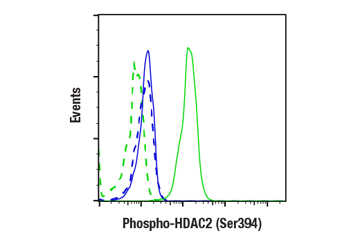 Flow Cytometry Image 1: Phospho-HDAC2 (Ser394) (E8O2Z) Rabbit mAb