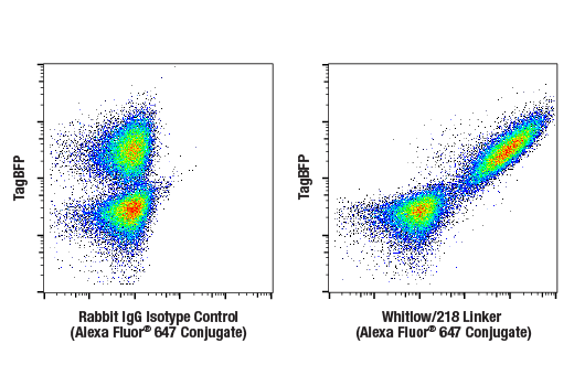 Flow Cytometry Image 3: Whitlow/218 Linker (E3U7Q) Rabbit mAb (Alexa Fluor® 647 Conjugate)