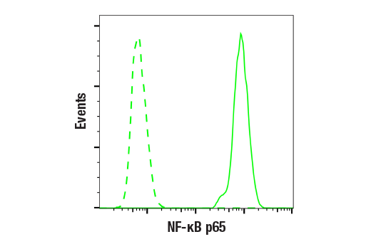 Flow Cytometry Image 1: NF-κB p65 (L8F6) Mouse mAb (BSA and Azide Free)