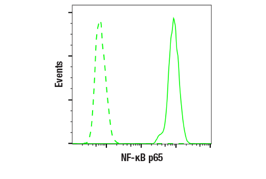 Flow Cytometry Image 2: NF-κB p65 (L8F6) Mouse mAb (BSA and Azide Free)
