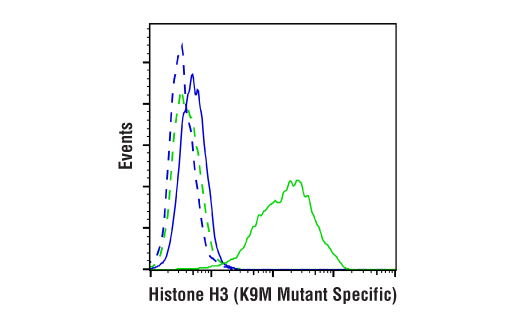  Image 19: Histone H3 Lysine Mutant-Specific Antibody Sampler Kit