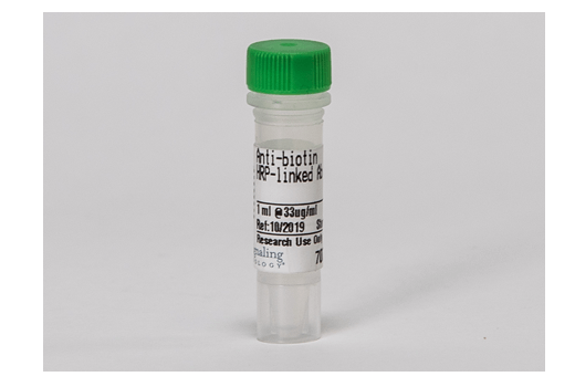  Image 1: Anti-biotin, HRP-linked Antibody