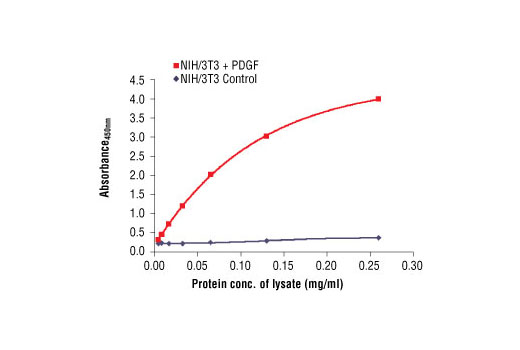  Image 1: PathScan® Phospho-Akt1 (Ser473) Sandwich ELISA Antibody Pair
