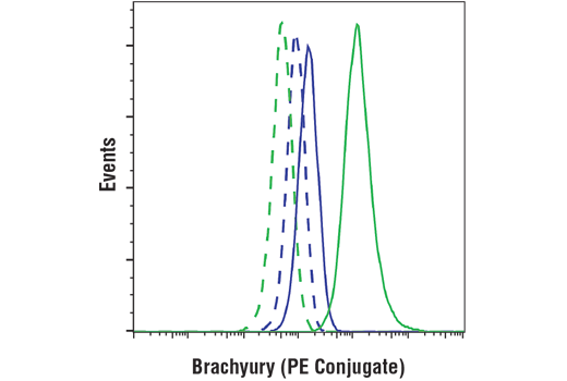 Flow Cytometry Image 1: Brachyury (D2Z3J) Rabbit mAb (PE Conjugate)