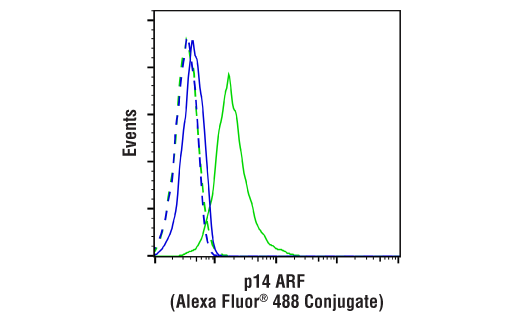 Flow Cytometry Image 1: p14 ARF (E3X6D) Rabbit mAb (Alexa Fluor® 488 Conjugate)
