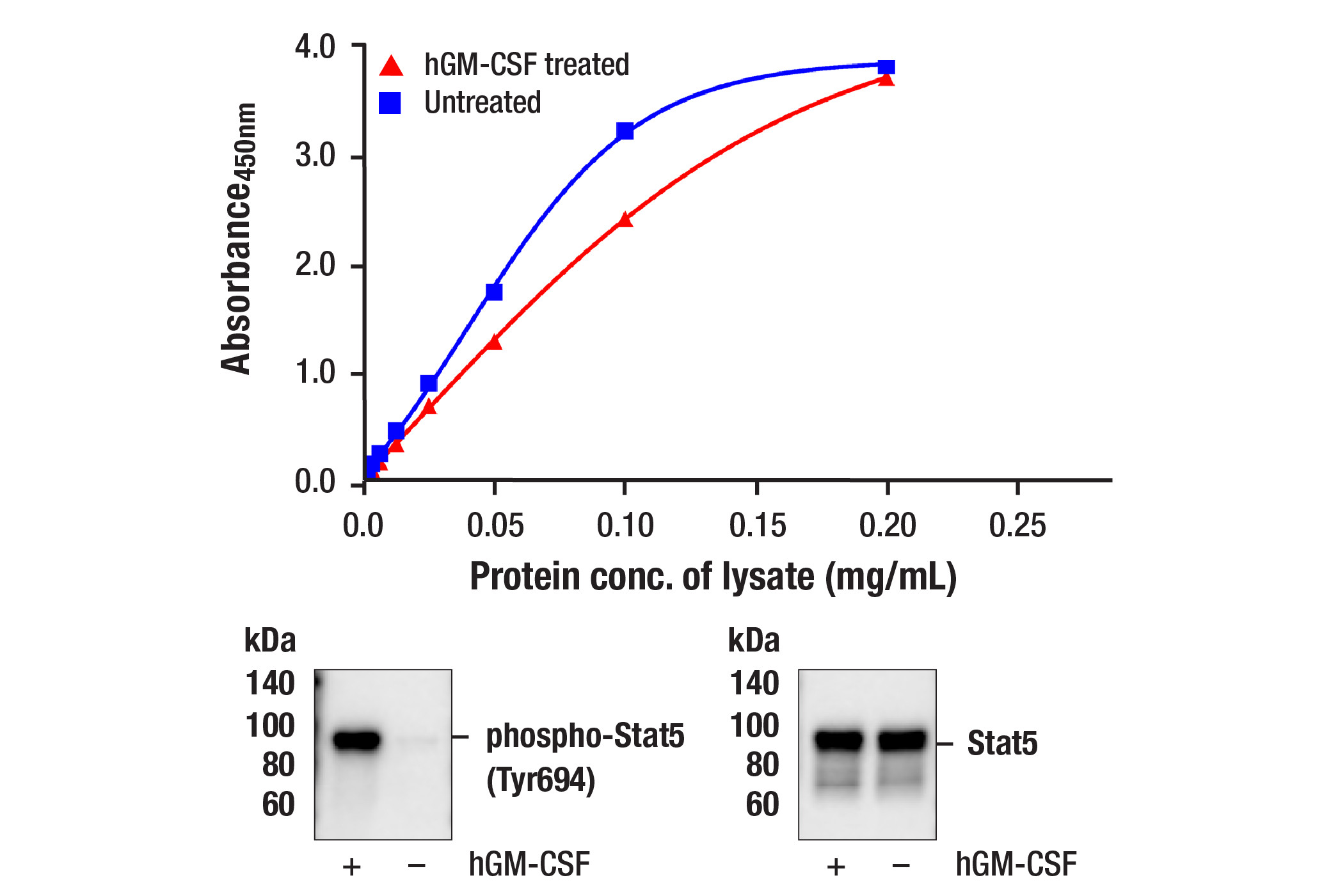  Image 1: PathScan® RP Total Stat5 Sandwich ELISA Kit