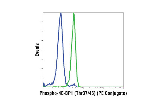 Flow Cytometry Image 1: Phospho-4E-BP1 (Thr37/46) (236B4) Rabbit mAb (PE Conjugate)