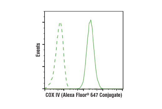  Image 8: Cellular Localization Alexa Fluor® 647 Conjugated Antibody Sampler Kit
