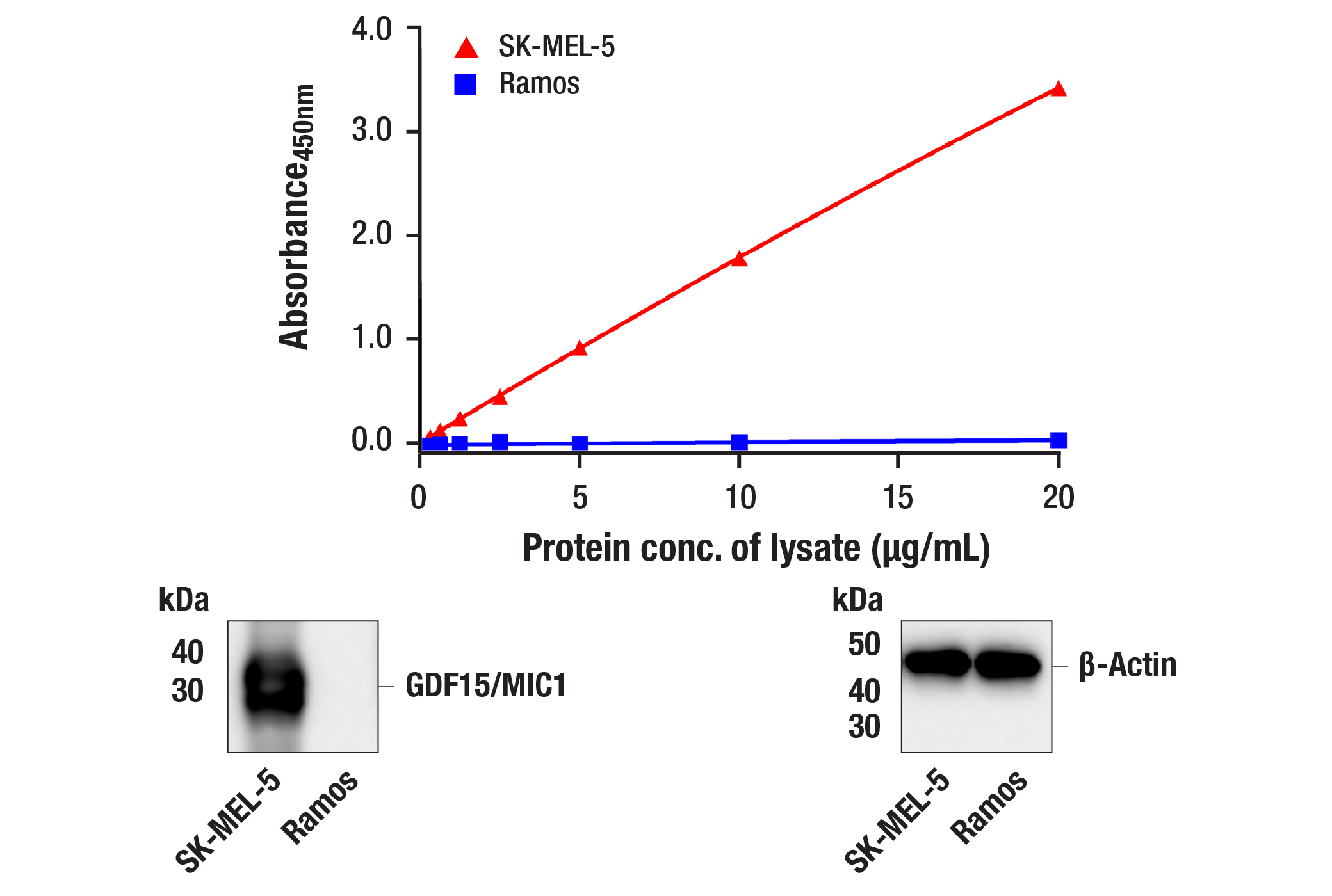  Image 1: PathScan® RP GDF15/MIC1 Sandwich ELISA Kit