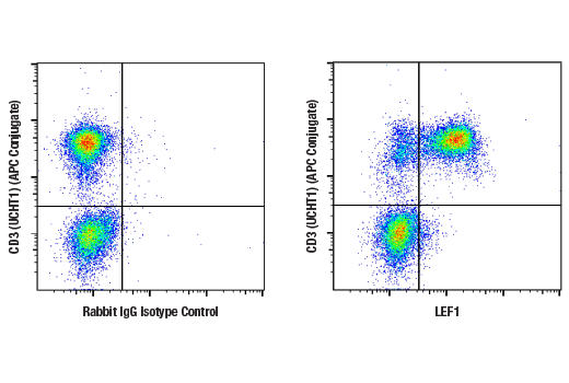 Flow Cytometry Image 1: LEF1 (D6J2W) Rabbit mAb