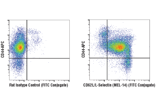 Flow Cytometry Image 2: CD62L/L-Selectin (MEL-14) Rat mAb (FITC Conjugate)