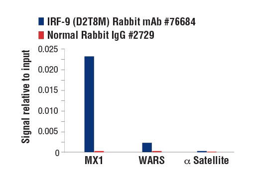 Chromatin Immunoprecipitation Image 1: IRF-9 (D2T8M) Rabbit mAb